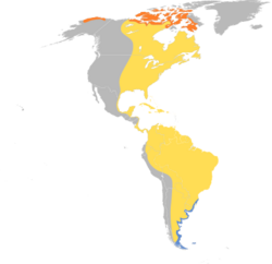 Calidris fuscicollis map.svg