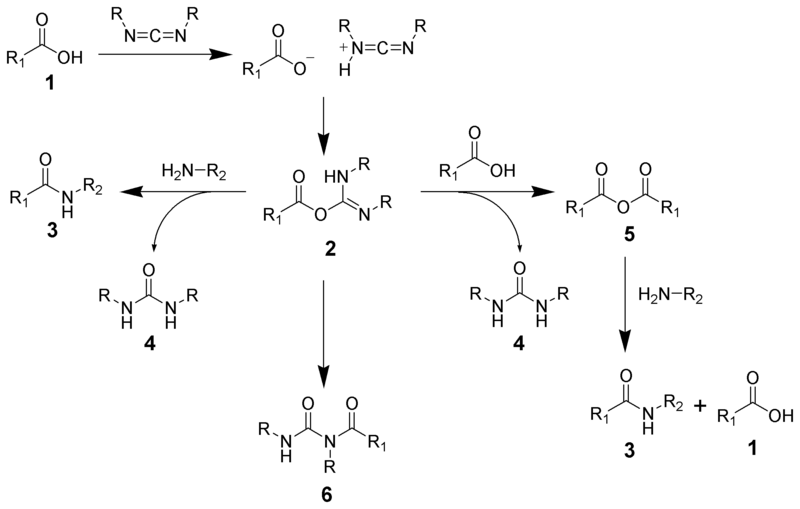 File:Carbodiimide Mechanism.png