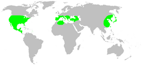 Distribution.leptonetidae.1.png