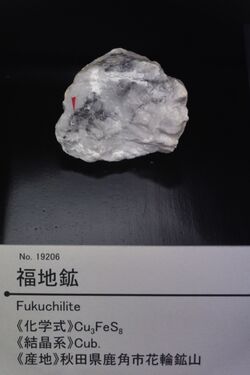 Fukuchilite displayed at Mining Museum of Akita University.jpg