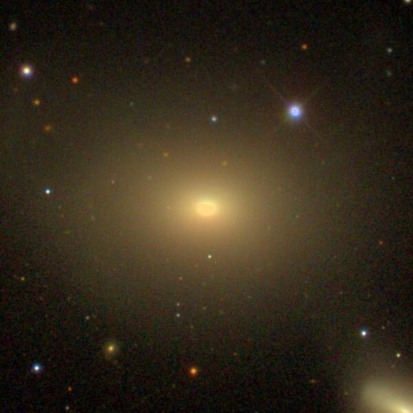 File:NGC5576 - SDSS DR14.jpg