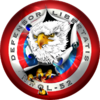 NROL-52 Mission Patch.png