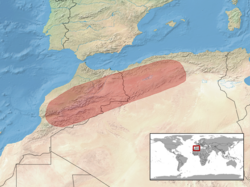 Ophisaurus koellikeri distribution.png