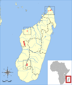 Otomops madagascariensis range map.svg
