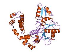 PDB 1zqm EBI.jpg