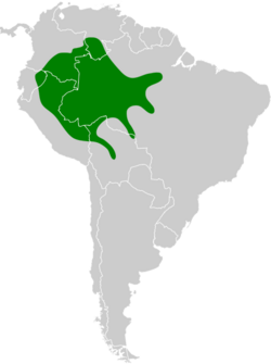 Schiffornis major map.svg