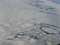 Sea ice near coast of Labrador -a.jpg