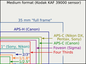 This is an image comparing the size of an APS-C sensor to other camera sensor sizes.