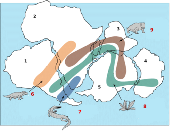 Caption: 1-South-America 2-Africa; 3-India; 4-Australia; 5-Antarctica; 6-Fossil remains of Cynognathus, a Triassic land reptile, approximately 3m long; 7- Fossil remains of the freshwater reptile Mesosaurus; 8-Fossil of the fern Glossopteris found in all of the southern continents show that they were once joined; 9-Fossil evidence of the Triassic land reptile Lystrosaurus