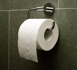 Toilet paper orientation over.jpg
