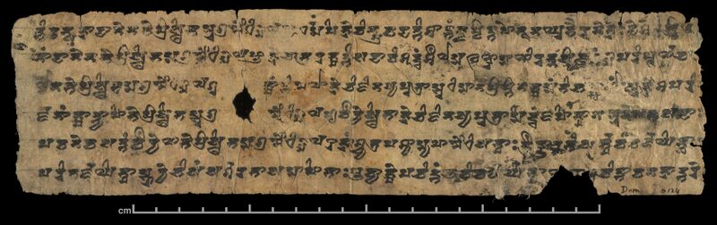 File:A Sanskrit manuscript of Lotus Sutra in South Turkestan Brahmi script.jpg