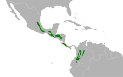 Atlapetes albinucha map.svg