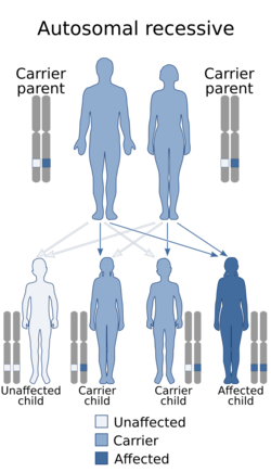 Autosomal recessive - en.svg