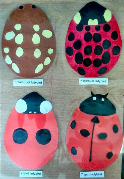 File:Card cutout ladybirds for children's nature trail.jpg