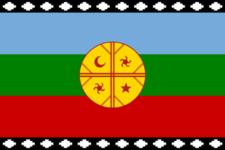Flag of the Mapuches.svg
