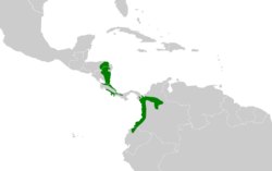 Hylopezus perspicillatus map.svg