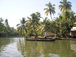 Kerala Backwaters, India.JPG