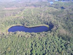 Aerial view of the dumbbell-shaped double crater of Lake Euramoo, surrounded by tropical rainforest.
