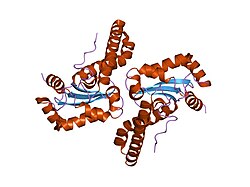 PDB 1szx EBI.jpg