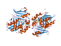 PDB 2pfr EBI.png