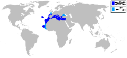 Pagellus erythrinus mapa.svg