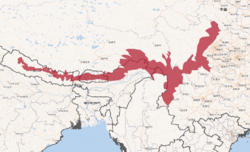 Map showing the range of the red panda, a narrow band along the Himalayas and southwest China, in red