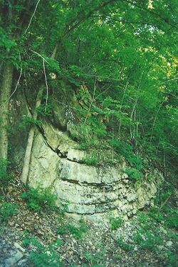 Roundtop Hill outcrop1.jpg