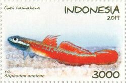 Stiphodon annieae 2019 stamp of Indonesia.jpg
