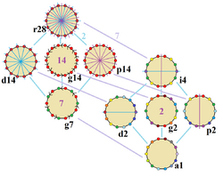 Symmetries of tetradecagon.png