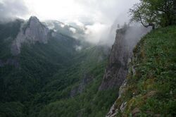 Мистический каньон реки Ходзь, парк Тхач, Западный Кавказ.jpg