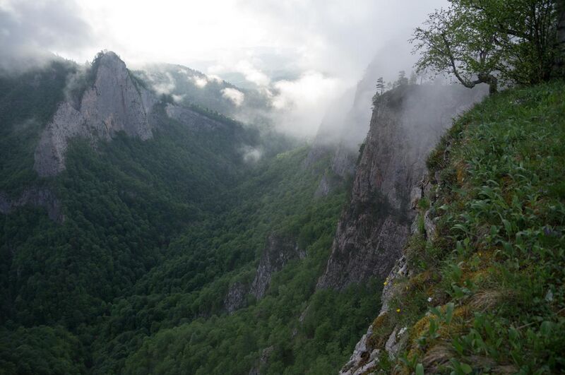 File:Мистический каньон реки Ходзь, парк Тхач, Западный Кавказ.jpg