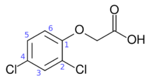 2,4-dichlorophenoxyacetic acid