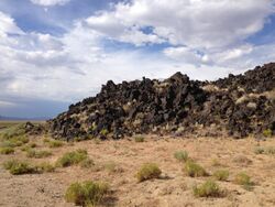 Pile of jagged black rocks with little vegetation