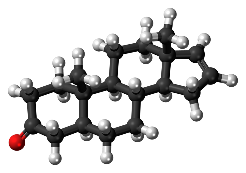 File:Androstenone-3D-balls.png