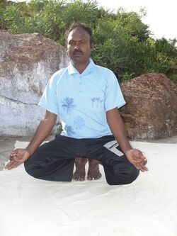 Bhadrasana.JPG