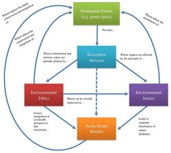 Conceptual-map-illustrating-the-connections-among-nonhuman-nature-ecosystem-services-environmental-ethics-environmental.jpg