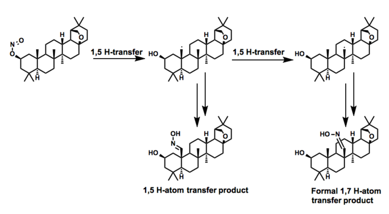 A formal 1,7 Barton in the synthesis of allobetullin derivatives