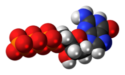 Deoxyguanosine-triphosphate-anion-3D-spacefill.png