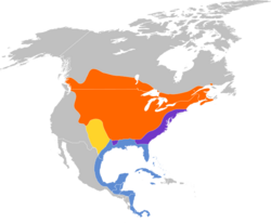 Dumetella carolinensis (gray catbird) map.svg