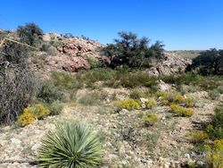 Fusselman Formation Quartzite Ridge.jpg