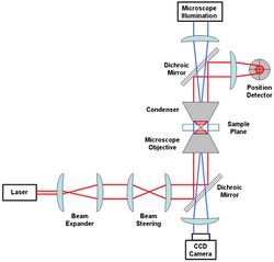 Generic Optical Tweezer Diagram.jpg