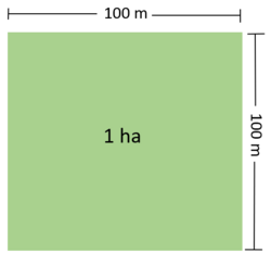 Illustration of One Hectare.png