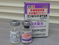 Japanese encephalitis vaccine "ENCEVAC"2016.jpg