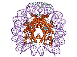 PDB 1s32 EBI.jpg