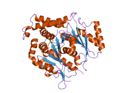 PDB 1z5w EBI.png