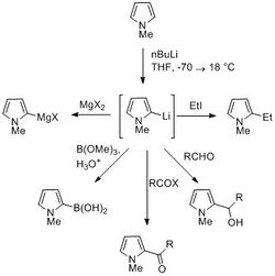 Pyrrole C Metallation.jpg