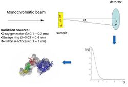 Saxs scheme1.jpg