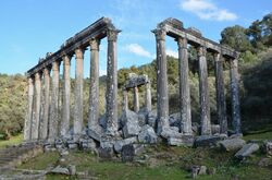 The Temple of Zeus Lepsinos at Euromus.jpg