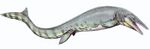 Tylosaurus pembinensis 1DB flipped.jpg