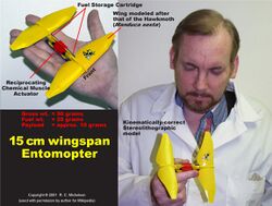 Yellow SLA Entomopter.jpg